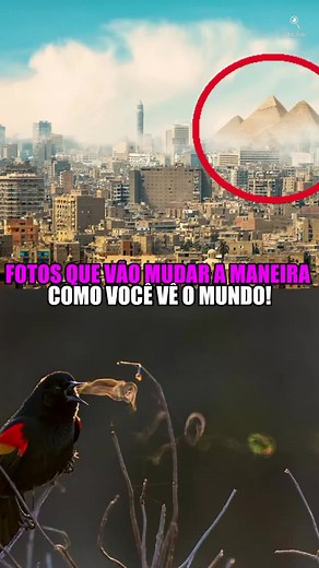 Descubra fatos curiosos do mundo através de fotos inéditas!