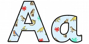 Variation and Classification Lowercase Display Lettering