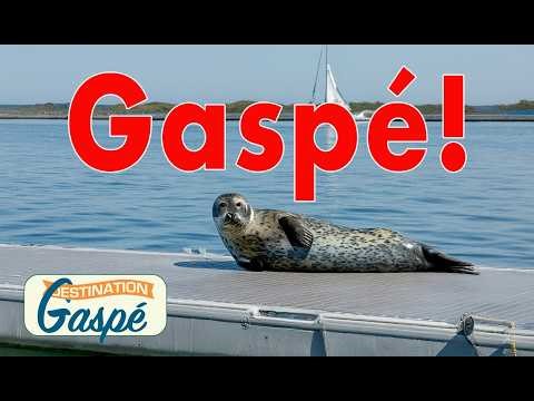 The Little Guys from Gaspé (S05E10)