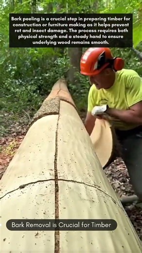 Bark removal is crucial for timber