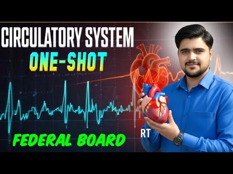 Class 10 Biology Chapter 2 Circulatory System | Full One Shot Lecture | Blood, Heart & Diseases