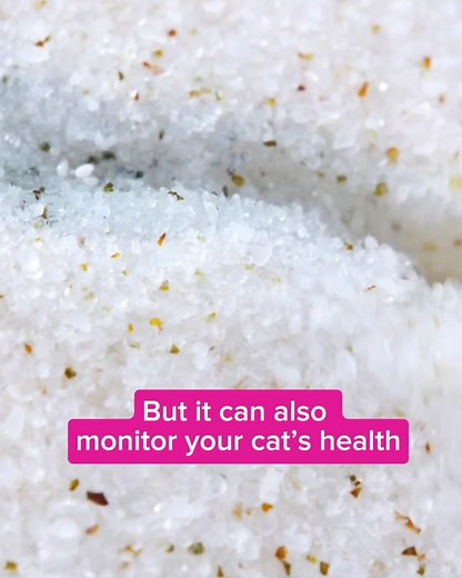 Why does Martha Stewart love PrettyLitter? Our easy-clean litter is lightweight, provides advanced odor control and monitors your cat's health. | PrettyLitter