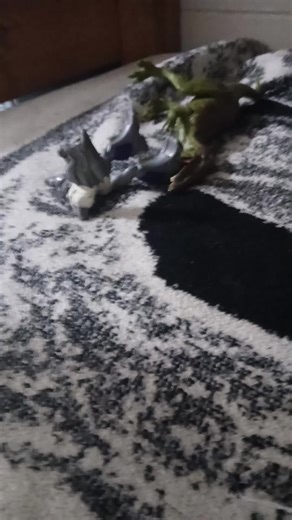 #Duet @Derrick Perry #Duet @trexmaxito