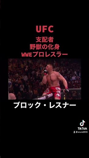 UFCヘビー級 ブロックレスナー