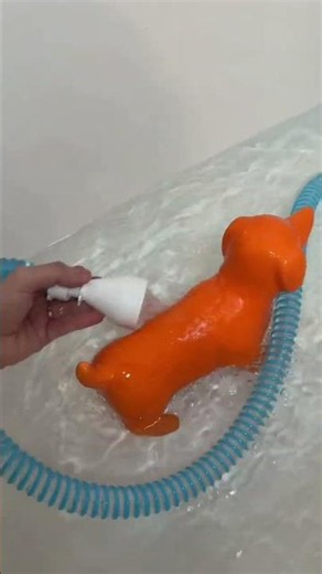 The best way to wash your dog 😮