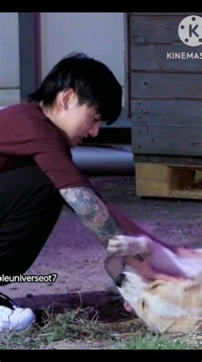 🐰Jungkook playing with dog 🐕pet lover jk🐶#bts #jungkook #dog #play#viral #@BtsPurpleuniverseot7