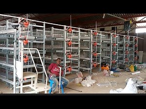 Poultry Automatic Battery Cage