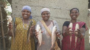 1.9K views · 39 reactions | See how an MCC-supported project helps marginalized communities break down social barriers and build up their financial security in Nepal’s rural lowlands. #MCCPeace | Mennonite Central Committee - MCC | Facebook