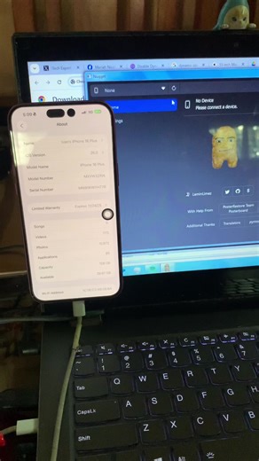 Nugget App Experience on iPhone 16