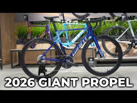 The Best Value Race Bike of 2026?