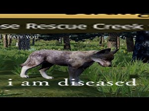 The WolfQuest Accurate Experience