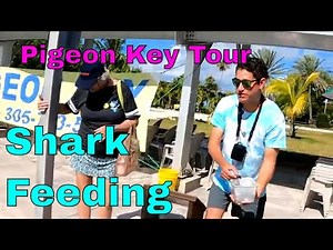 Pigeon Key Tour - Pigeon Key Express Shuttle