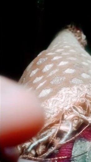 ٢ أبريل ٢٠٢٦