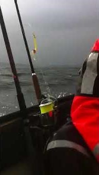 Porta-Bote Faltboot Yamaha F6 Norwegen Heavy Sea