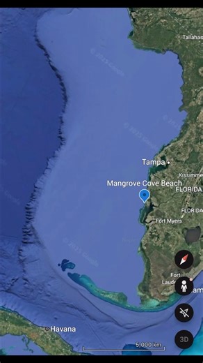 🌊 Wondering where you can land on Don Pedro Island? ✨ Welcome to Mangrove Cove Beach! The legal landing spot paddlers can enjoy safely.Here you’ll find crystal clear water, soft sand, and a quiet path through the mangroves that opens right out to the Gulf. It’s also a great place to hunt for shells and shark teeth. ⛱ Mangrove Cove Beach is open and waiting for your next adventure. #DonPedroIsland #MangroveCoveBeach #PaddleSafe #Beaches #Shelling #SharkTeeth #Kayak #Florida #SUPAdventures #Paddl