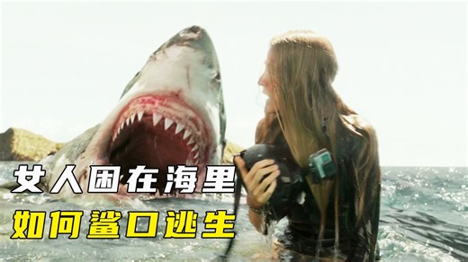 鲨滩精彩速看_女人独自困在海里，鲨鱼正伺机而动，恐怖片《鲨滩》2