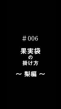 The Farmer’s Sound #006 「（梨袋）果実袋の掛け方」