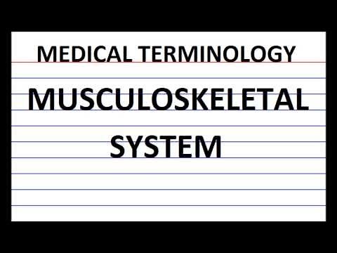 MEDICAL TERMINOLOGY FLASH CARDS: MUSCULOSKELETAL SYSTEM
