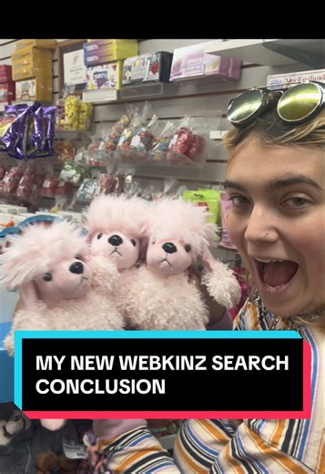 Webkinz hunt final part: My new Webkinz search conclusion
