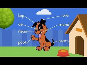 Grade 1 Afrikaans FAL - Dier se Lyf (An animal's body)