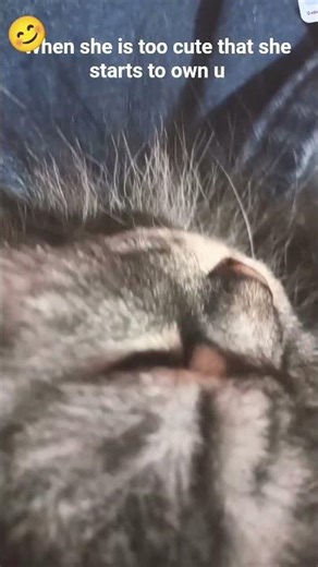 😊