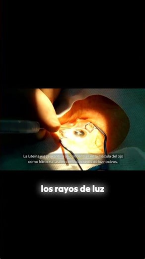 ¡El truco natural para unos ojos de águila! 🥗👀