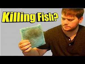 Why an Aquarium Filter Cartridge Replacement Is Killing Your Fish