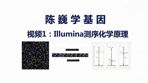 【陈巍学基因】视频1：Illumina测序(字幕版)