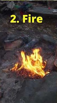 5 Survival Uses of Cattails / Bulrush!