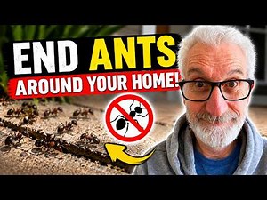 How To Stop an Ant Colony ● Around Your House or Patio !