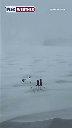 An Intense Blizzard Blasts The Great Lakes Region Impacting Residents In Milakokia Lake, Michigan