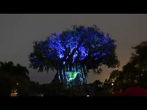 Tree of Life "Beacon of Magic" Full Show at Disney's Animal Kingdom - Walt Disney World
