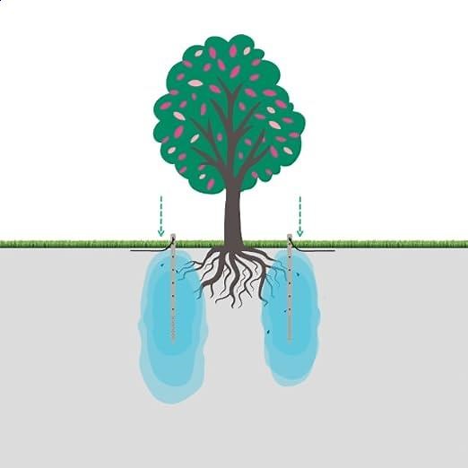 36\" DEEP DRIP Watering Stake - Wetting Pattern