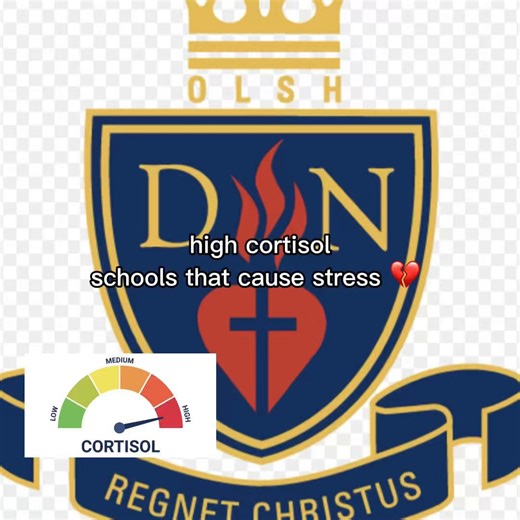 Exploring Adelaide Schools and Student Well-being