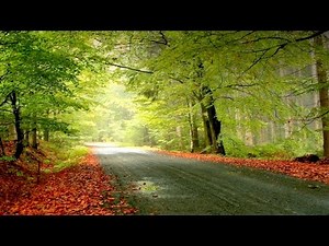 1 HOUR Morning Walk Music | Calming Music | Peaceful Music | Latest Mind Relaxation Music 2016