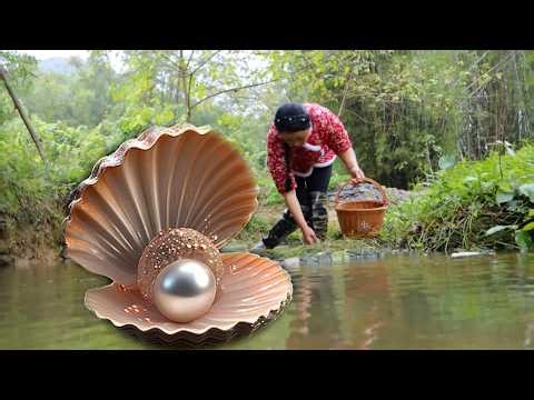 Skillfully pried open the precious clam shell, which was 1100 years old