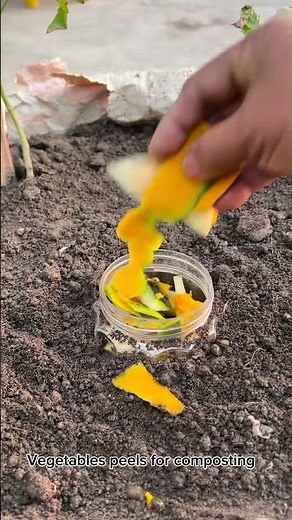 Bury a Jar in Your Garden 🤯 Genius Slow-Release Fertilizer Hack! #Shorts