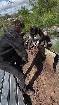 Flipping For Snakes in Mississippi! - Giant Piles of Tin!