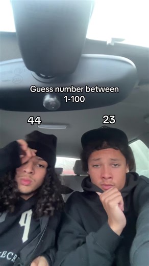 Fun Number Guessing Game Challenge