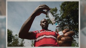 What is Intercropping in Agriculture? Unveiling the Power of Intercropping in Agriculture