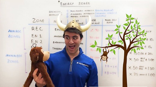 The 7 Energy Zones in Swimming Explained: ✔ REC: "Easy" ✔ EN1: "Moderate" ✔ EN2: "Endurance" ✔ EN3: "Threshold" ✔ SP1: "Best Average" ✔ SP2: "Race Pace" ✔ SP3: "Sprint" https://myswimpro.com/blog/2018/04/11/energy-zones-whiteboard-wednesday/ | MySwimPro