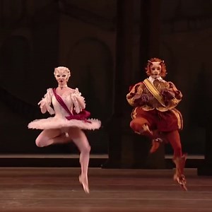 Pas de chats a-plenty! 😸 Happy International Cat Day! To celebrate, here's a clip of The Sleeping Beauty's White Cat and Puss-in-Boots pas de deux that's guaranteed to have you feline good. 🩰 | Royal Ballet And Opera