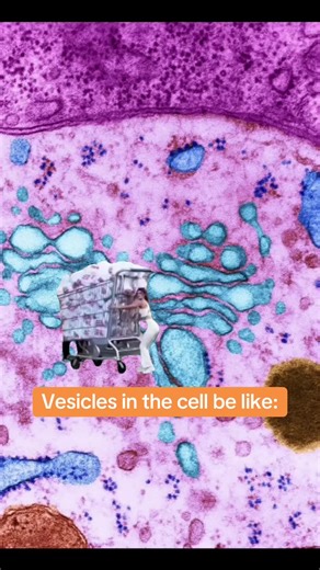 #biology #science #stem #funny