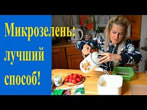 Secrets of microgreens