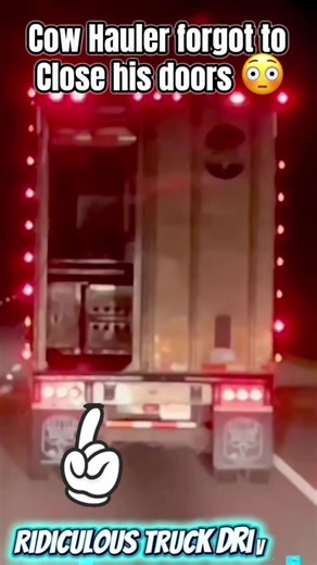 Cow Hauler Driving with his trailer doors open unbelievable👀 #cattlehauling #dashcam #viral #truckdriver #fyp
