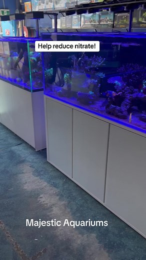 Reduce Nitrate Levels in Your Aquarium with Marine Pure