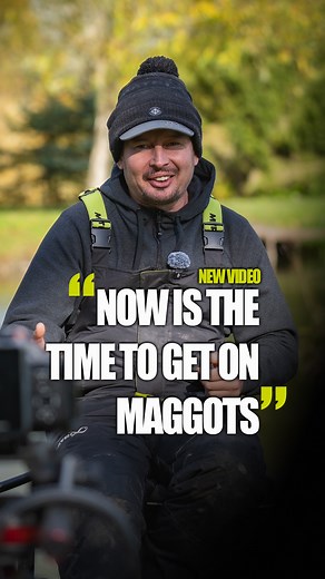 65K views · 486 reactions | Maggots have to be the ULTIMATE winter bait, but are you getting the most out of them? 樂 In our latest video over on YouTube Kieran Marsden dives into everything there is to know about this brilliant bait  VIDEO LINK BELOW ⬇️ | Fish Matrix | Facebook