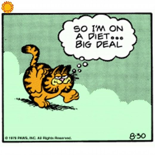 Garfield: Diet is Die with a T