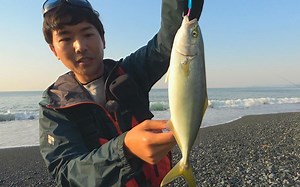 伝統漁具から進化した「弓角」が、堤防から投げると青物が入れ食いになる“チートルアー”だった | 文春オンライン