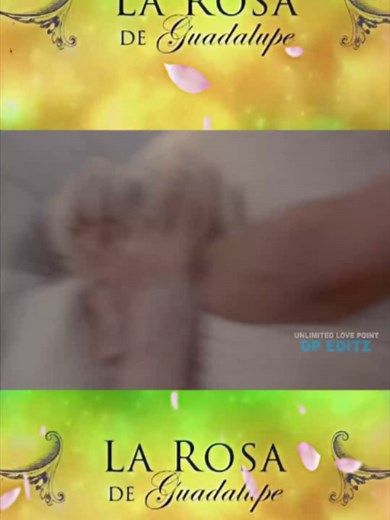 #LaRosaDeGuadalupe #HistoriasDeVida #DramaMexicano #ReflexionesDeVida | la rosa de guadalupe la joya de sultan